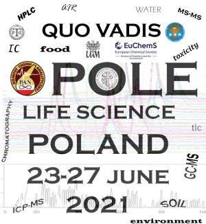 popropoleconference2021.wch_.uni_.opole_.pl_-940x1024